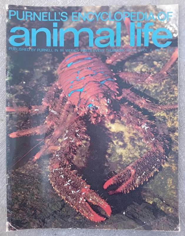 1970 Purnell's  Encyclopedia of Animal Life No81 Vol 6/1