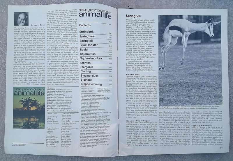 1970 Purnell's  Encyclopedia of Animal Life No81 Vol 6/1