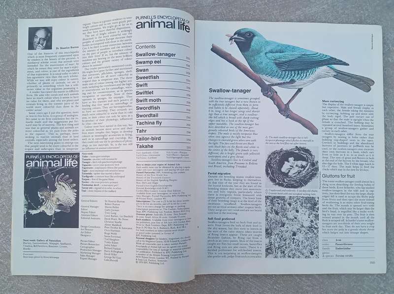 1970 Purnell's Encyclopedia Of Animal Life No84 (Vol6 No4)