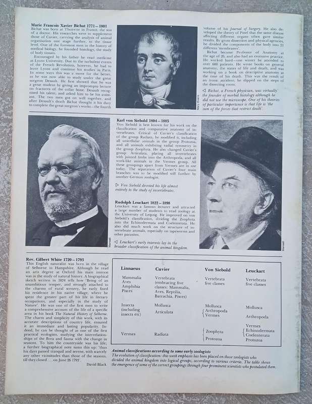 1970 Purnell's Encyclopedia Of Animal Life No86 (Vol6 No6)