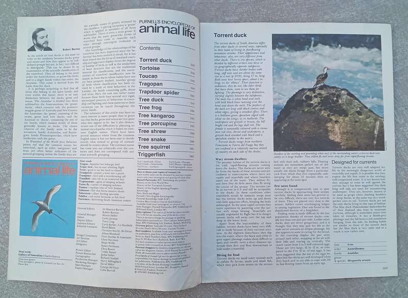 1970 Purnell's Encyclopedia Of Animal Life No88 (Vol6 No8)