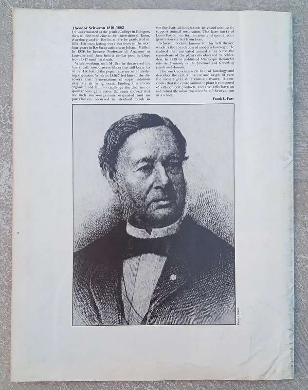 1970 Purnell's Encyclopedia Of Animal Life No88 (Vol6 No8)