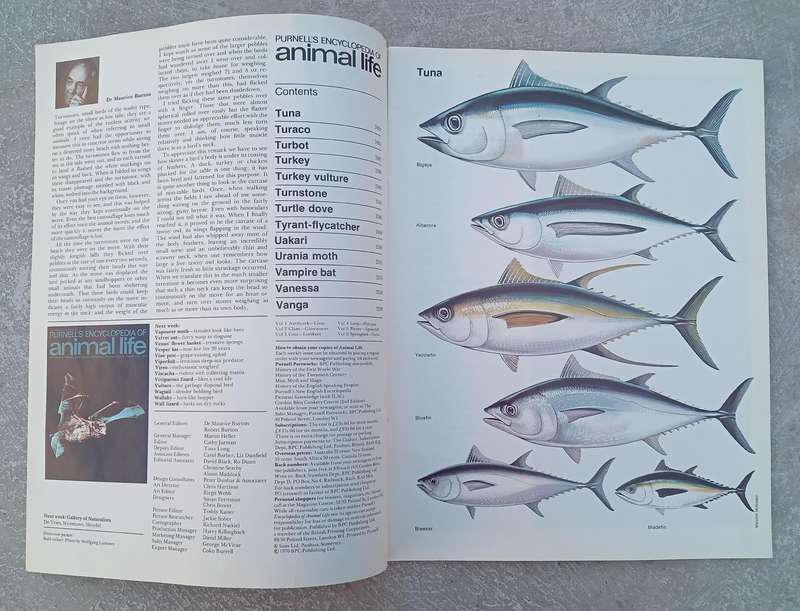1970 Purnell's Encyclopedia Of Animal Life No 90 (Vol6 No10)