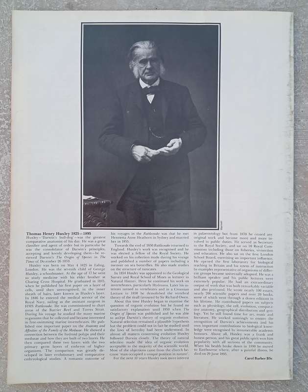 1970 Purnell's Encyclopedia Of Animal Life No 90 (Vol6 No10)