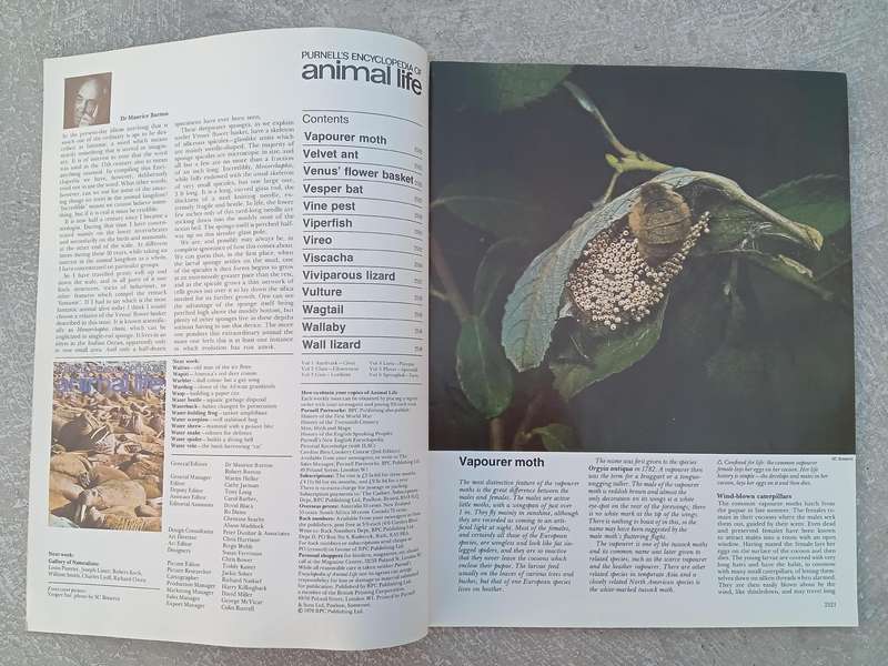 1970 Purnell's Encyclopedia Of Animal Life No 91 (Vol6 No11)