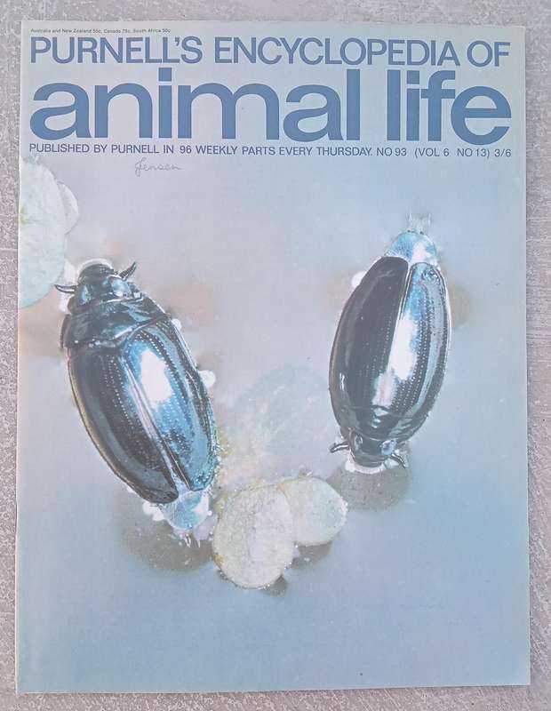 1970 Purnell's Encyclopedia Of Animal Life No 93 (Vol6 No13)