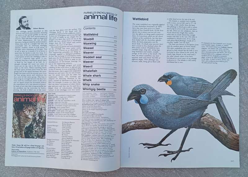 1970 Purnell's Encyclopedia Of Animal Life No 93 (Vol6 No13)