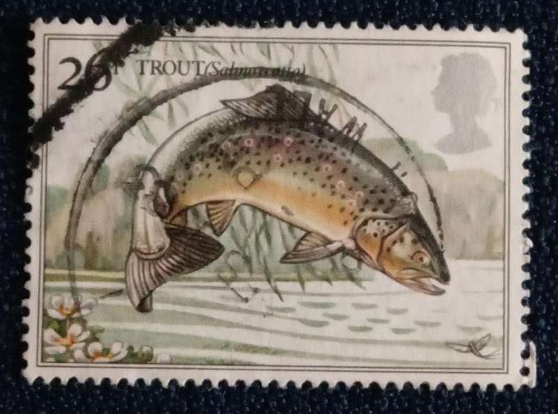 Used Single Stamp- England
