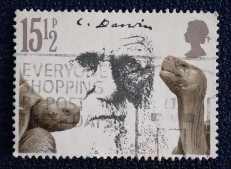 Used Single Stamp- England