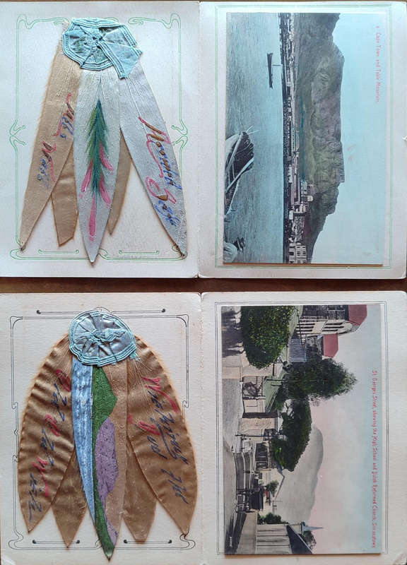 2 Antique Postcards Silver Leaves Table Mountain