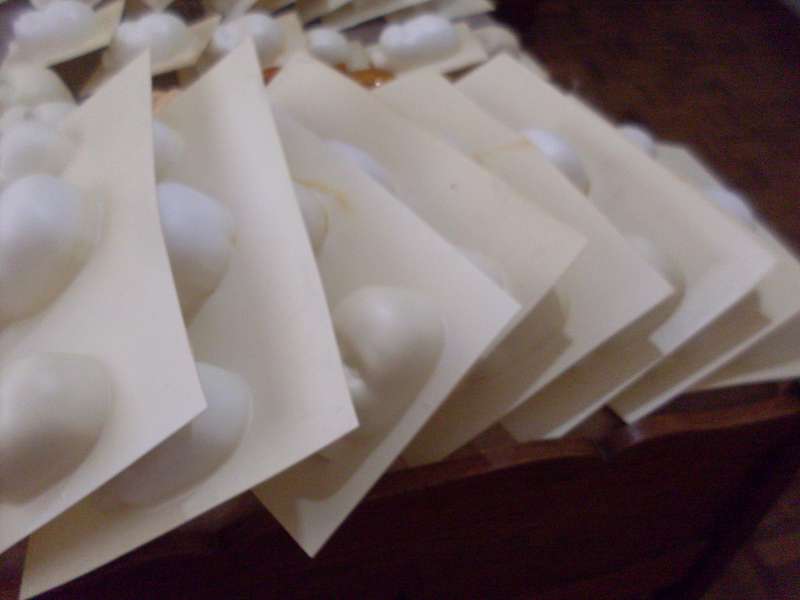 A COLLECTION OF VARIOUS PLASTIC MOLDS TO MAKE MASKS...1 BID GETS ALL
