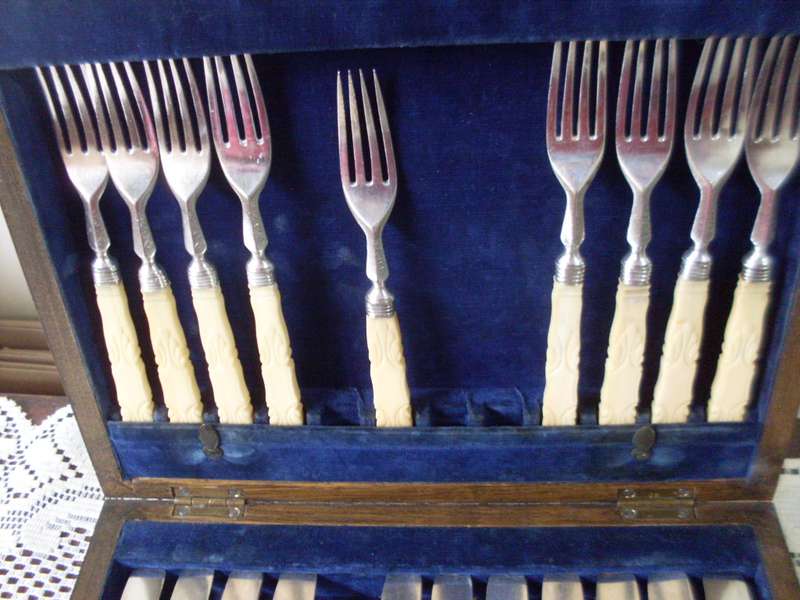 BOXED DECORATIVE VINTAGE 20 BONE HANDLE CUTLERY ..ELKINGTON & CO ON BLADES /FORKS MARKS ARE RUBBED