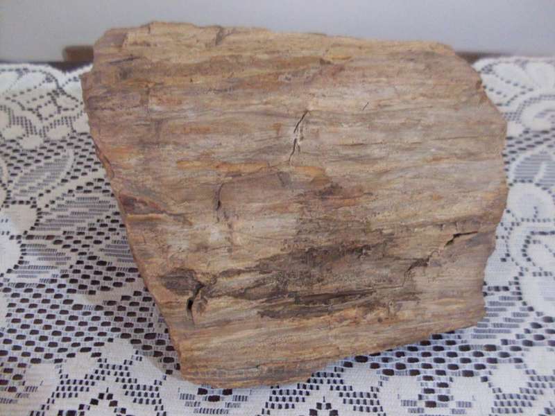 BEAUTIFUL PIECE OF FOSSIL/PETRIFIED WOOD 6.1 KG