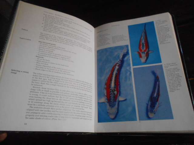 LIVING JEWELS - KOI KEEPING IN SA - R WATT &  S de Kock illus hardback