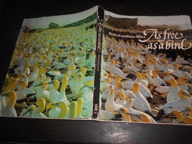 AS FREE AS A BIRD - BIRDS OF SOUTHERN AFRICA ILLUS PICTURE BOOK BY PETER JOHNSON