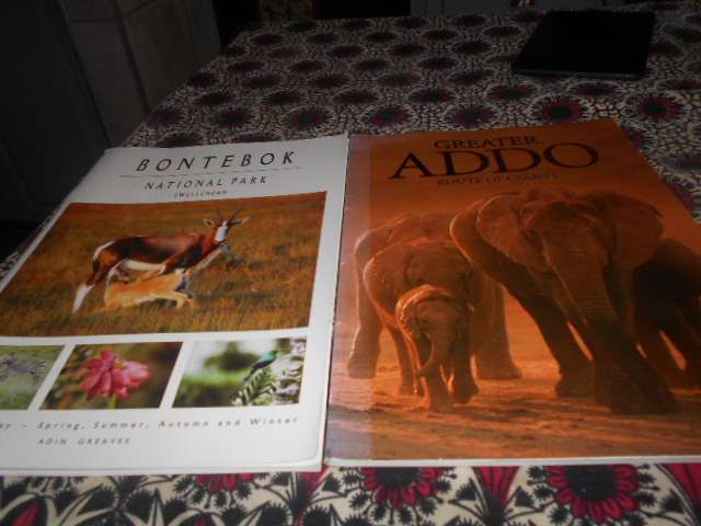 2 game park softbacks - Greater Addo & Bontebok National Park (Adin Greaves)