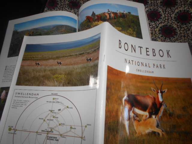 2 game park softbacks - Greater Addo & Bontebok National Park (Adin Greaves)