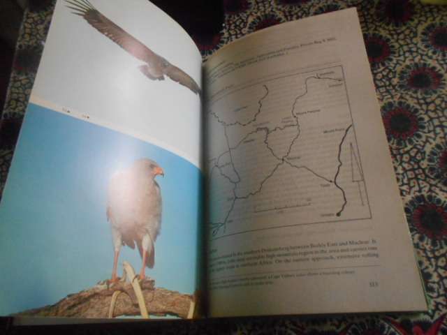 Where to Watch Birds in Southern Africa  By: Berruti, A. , Sinclair, J.C.
