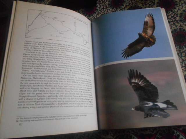 Where to Watch Birds in Southern Africa  By: Berruti, A. , Sinclair, J.C.