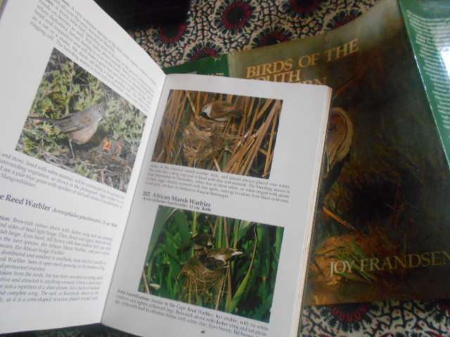 JOY FRANDSEN - BIRDS OF THE SOUTH WESTERN CAPE - SABLE PUBLISHERS