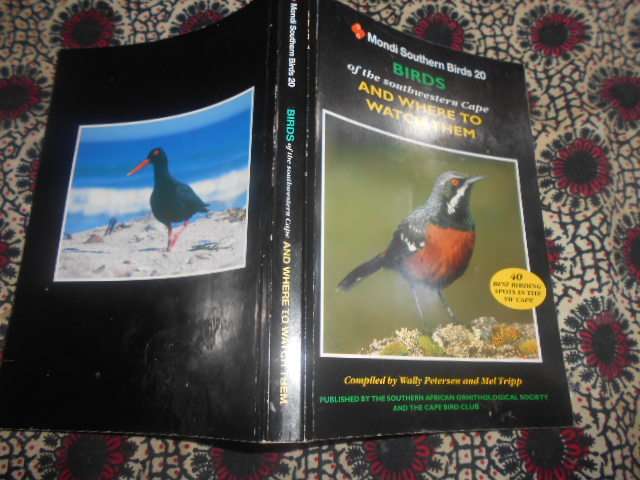 Birds of Southwestern Cape & Where to Watch them 40 best birding spots in Cape