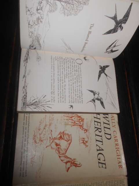 WILD HERITAGE - (Animal behaviour) - S Carrighar illus R Horne Hamish Hamilton