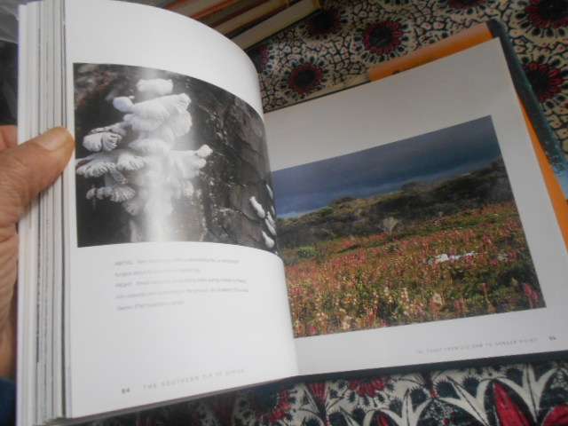 STEPHAN WOLFART - THE SOUTHERN TIP OF AFRICA  (Richest Biioversity) - 1st ed 2006 illus hardback
