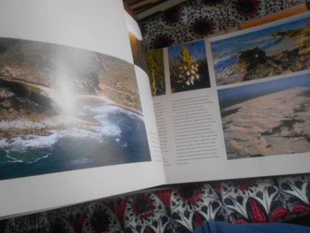STEPHAN WOLFART - THE SOUTHERN TIP OF AFRICA  (Richest Biioversity) - 1st ed 2006 illus hardback