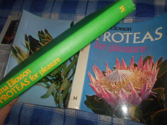 SIMA ELIOVSON - PROTEAS FOR PLEASURE illus autographed  macmillan 1976