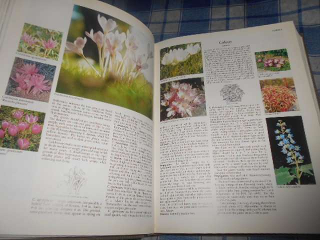 Readers Digest encyclopaedia of garden plants and flowers illus 1978