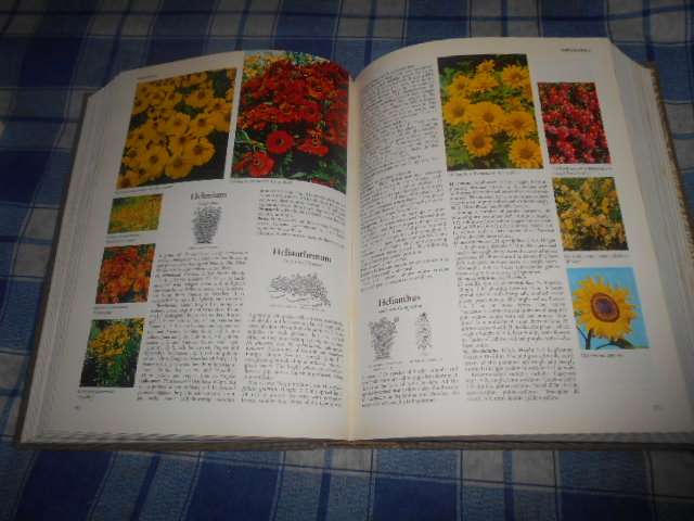 Readers Digest encyclopaedia of garden plants and flowers illus 1978