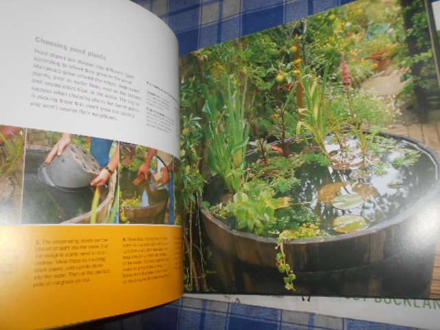 TOBY BUCKLAND - 50 RECIPES FOR PROJECTS -TRANSFORM YOUR GARDEN PHOTOS H RICE