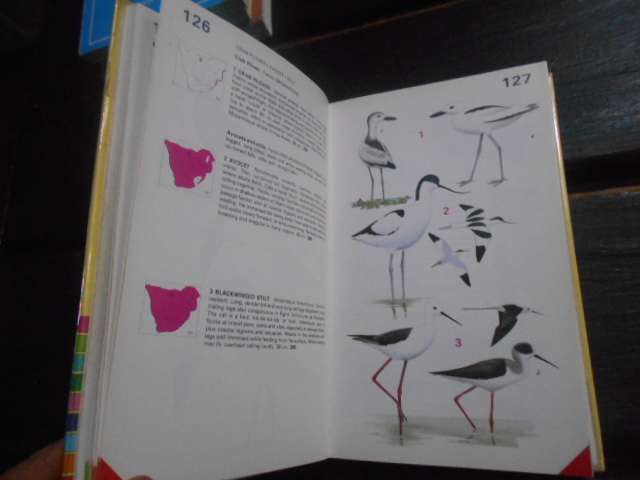 Newmans BIRDS of Southern Africa - expanded ed. colour code
