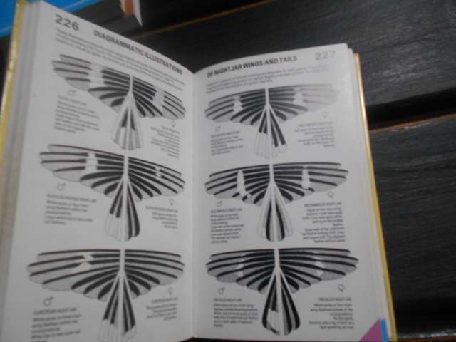 Newmans BIRDS of Southern Africa - expanded ed. colour code