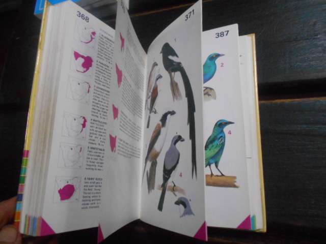 Newmans BIRDS of Southern Africa - expanded ed. colour code