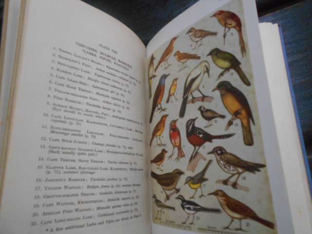 Leonard Gill - A 1st guide to South African Birds 1945 Maskew Miller