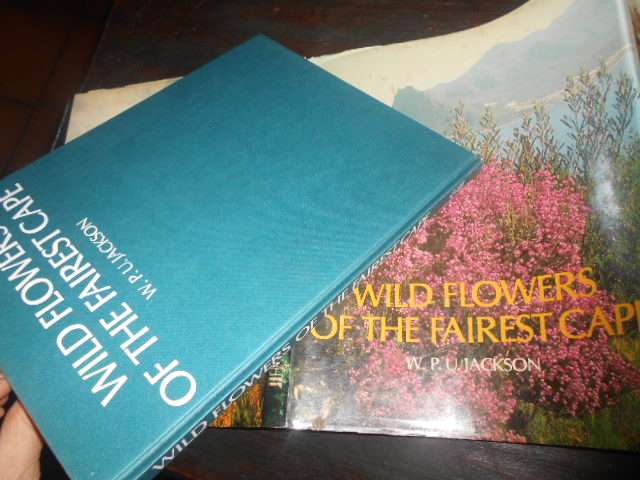 Wild Flowers of the Fairest Cape. W.J.U Jackson - Howard Timmins 1980 illus hardback