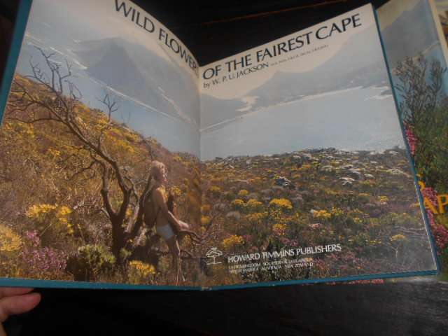 Wild Flowers of the Fairest Cape. W.J.U Jackson - Howard Timmins 1980 illus hardback