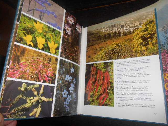 Wild Flowers of the Fairest Cape. W.J.U Jackson - Howard Timmins 1980 illus hardback