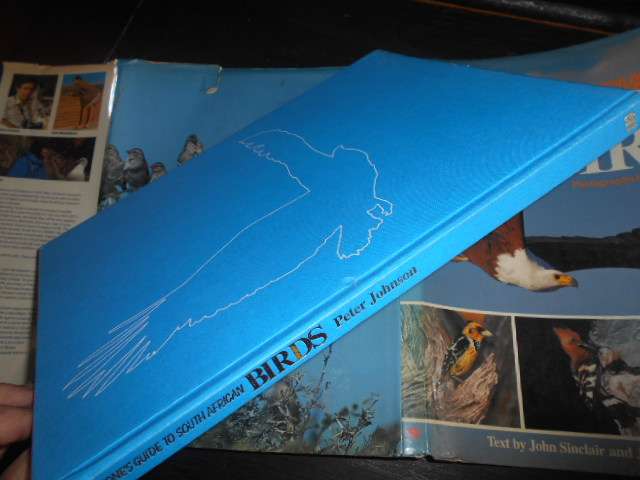 EVERYONES GUIDE TO SOUTH AFRICAN BIRDS - LLUS PICTURE BOOK BY PETER JOHNSON
