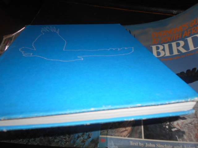 EVERYONES GUIDE TO SOUTH AFRICAN BIRDS - LLUS PICTURE BOOK BY PETER JOHNSON
