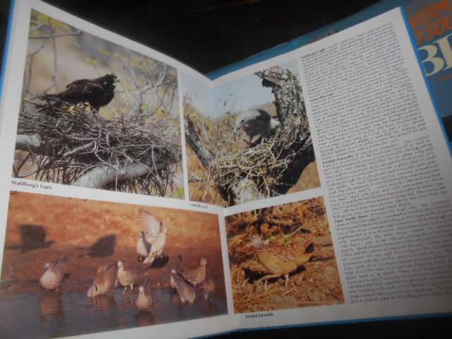EVERYONES GUIDE TO SOUTH AFRICAN BIRDS - LLUS PICTURE BOOK BY PETER JOHNSON