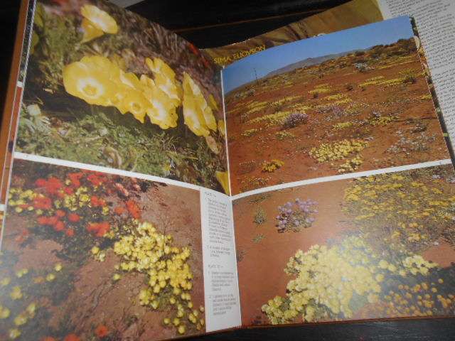 NAMAKWALAND IN FLOWER- Macmillan Johannesburg 1972 1st ed hardb & dustc