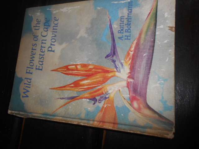 Wild flowers of the Eastern Cape Province - Batten, Auriol & Bokelmann, Hertha colour illus