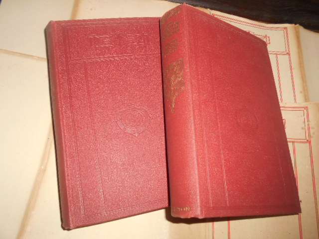 2 old  Charles Dickens  books - DAVID COPPERFIELD-  volume 1 & d 2 -  Caxton Pub books with plates