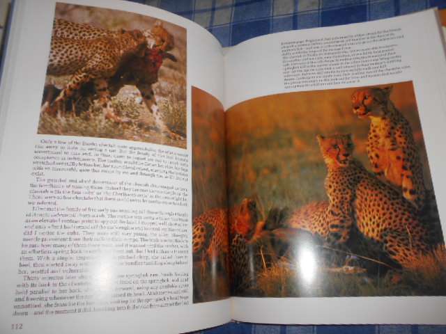 ETOSHA:  Life & death on an African plain - M & Margot Reardon -  Struik publish. 1984