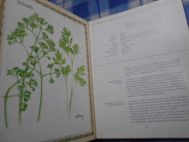 Uit die Kruietuin - Moedi Reyneke illus Marinda Lupo  1991 1ste druk