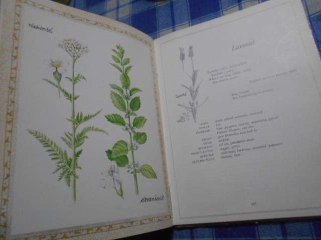 Uit die Kruietuin - Moedi Reyneke illus Marinda Lupo  1991 1ste druk