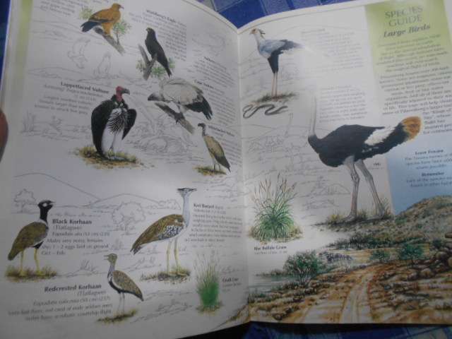 The Magic of Pilanesberg: A Complete Guide To The Park Jacana education 1997 revised ed.