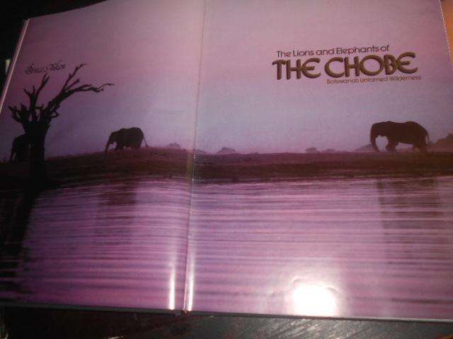 The lions and elephants Chobe, Botswanas untamed wilderness by Bruce Aiken illus photos